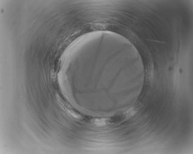 X0000051260134200507152225