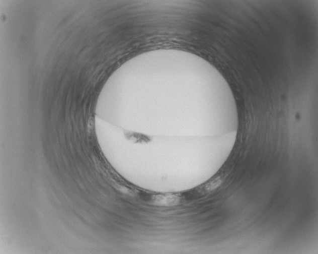 X0000051260135200507152225