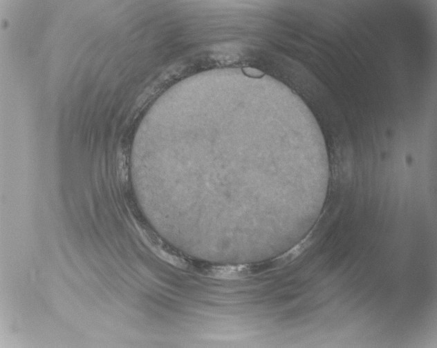 X0000051260136200507152225