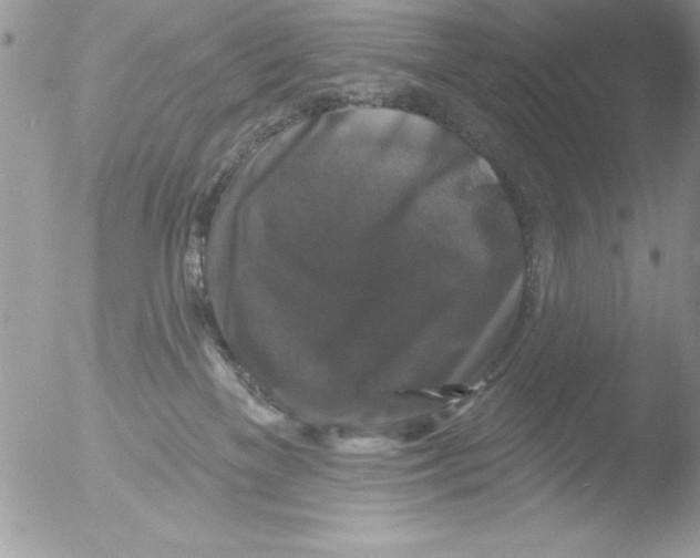 X0000051260137200507152225