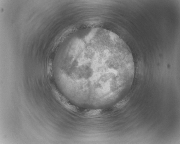 X0000051260138200507152225