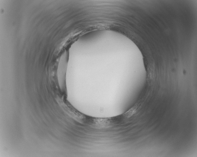 X0000051260141200507152225