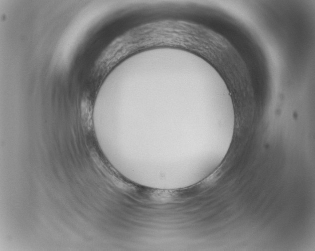 X0000051260142200507152225