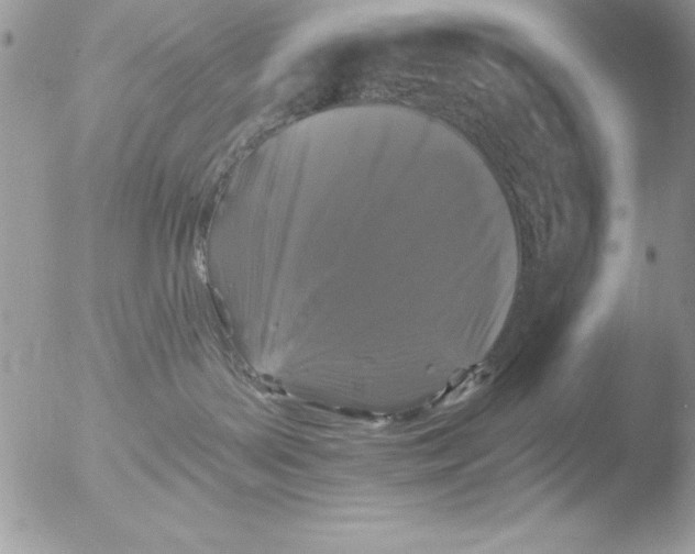 X0000051260143200507152225