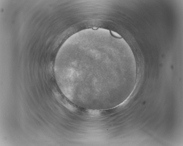 X0000051260144200507152225