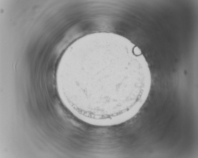 X0000051260146200507152225