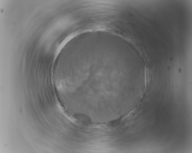 X0000051260147200507152225