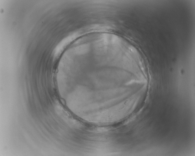 X0000051260149200507152225