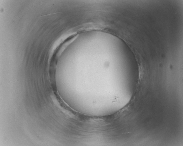 X0000051260150200507152225