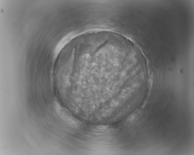 X0000051260151200507152225