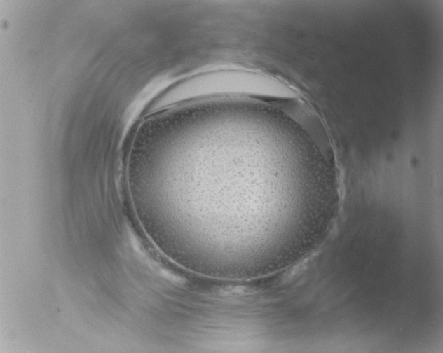 X0000051260152200507152225