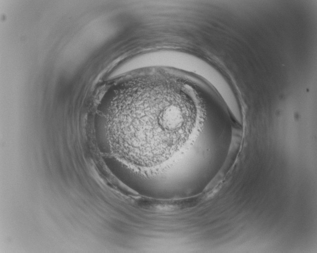 X0000051260154200507152225