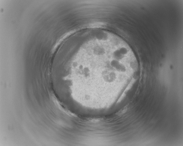 X0000051260155200507152225