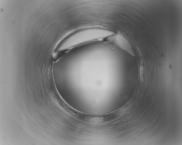 X0000051260156200507152225