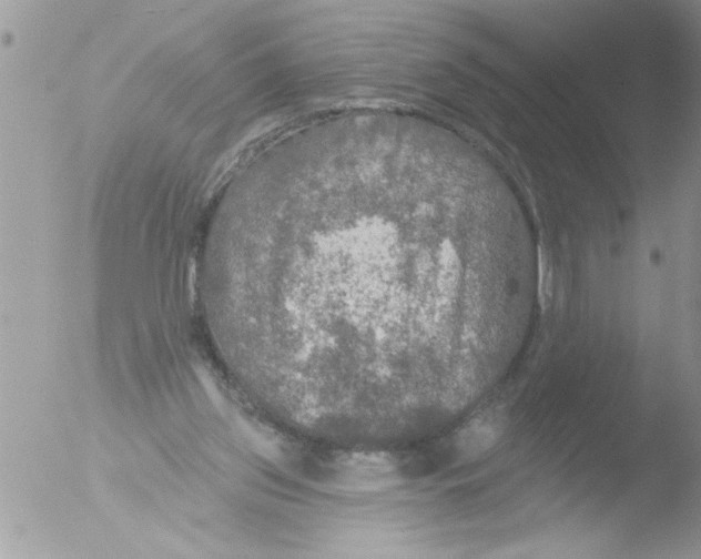 X0000051260157200507152225