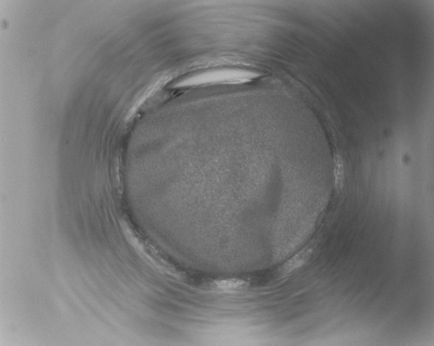 X0000051260158200507152225