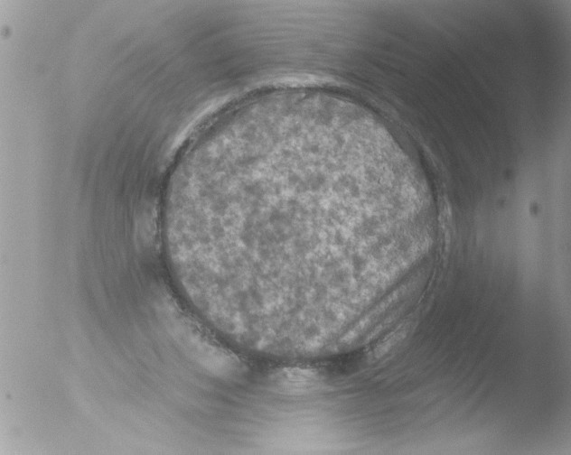 X0000051260159200507152225