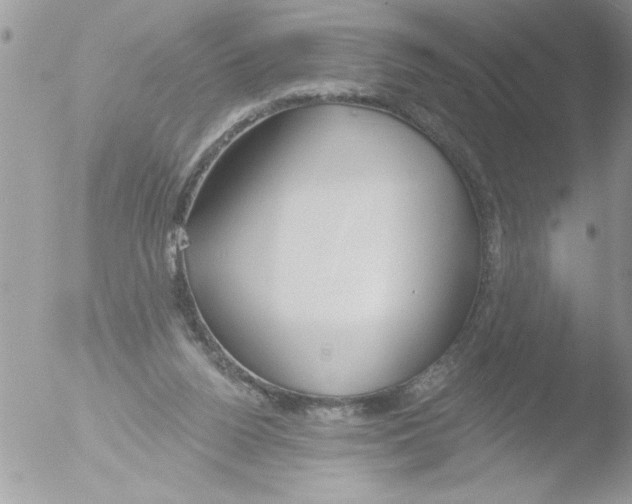 X0000051260160200507152225