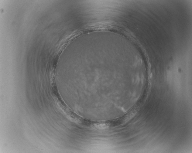 X0000051260161200507152225