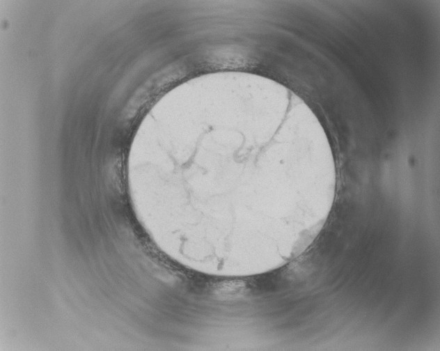 X0000051260162200507152225