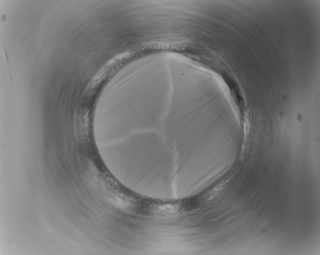 X0000051260163200507152225