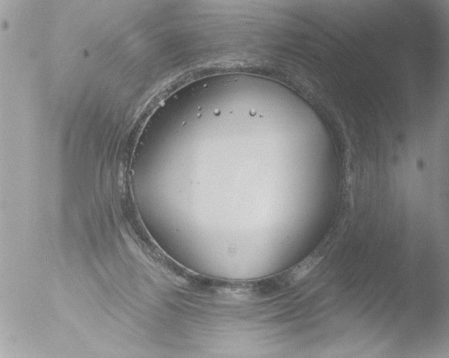 X0000051260164200507152225