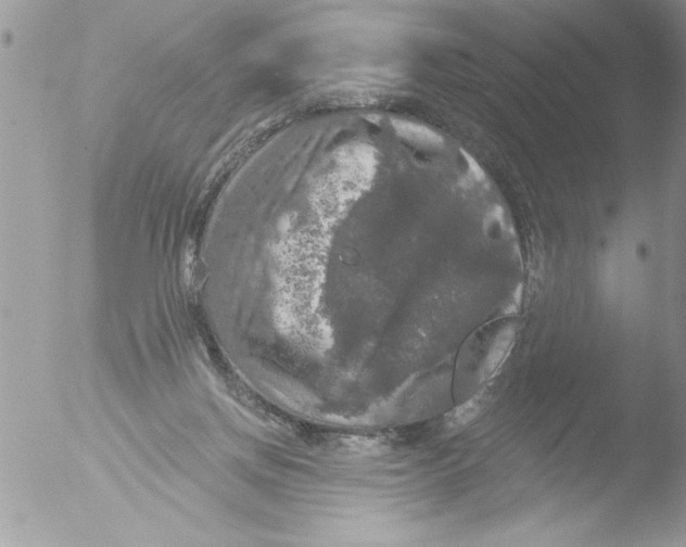 X0000051260166200507152225