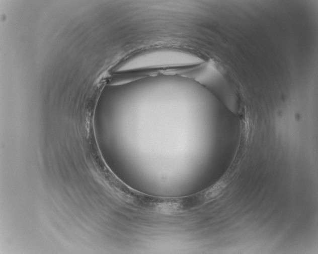 X0000051260168200507152225