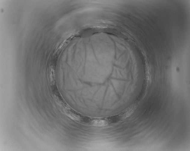 X0000051260169200507152225