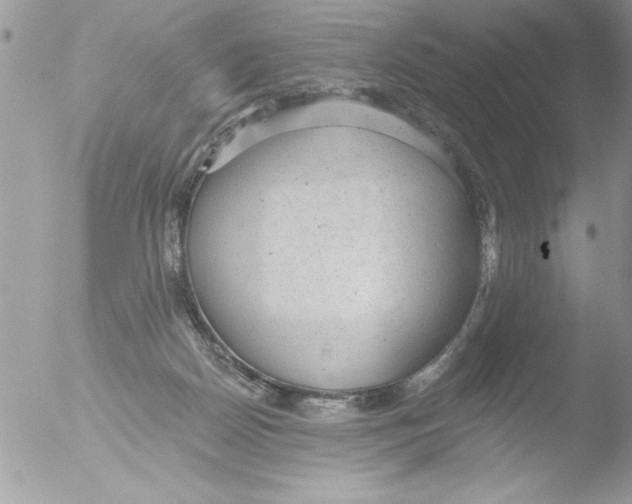 X0000051260170200507152225