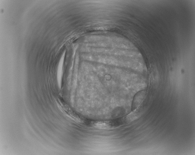 X0000051260171200507152225