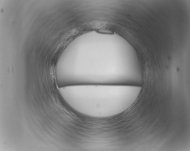 X0000051260172200507152225