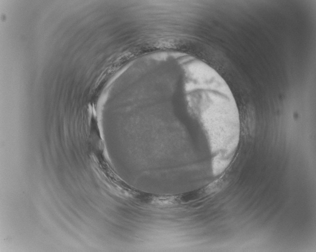 X0000051260175200507152225