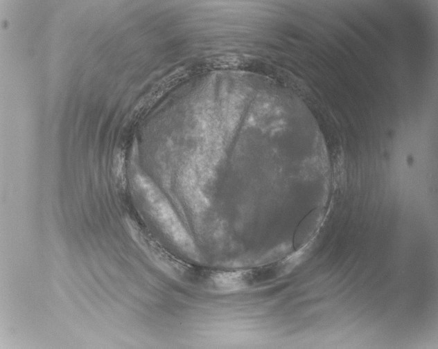 X0000051260178200507152225