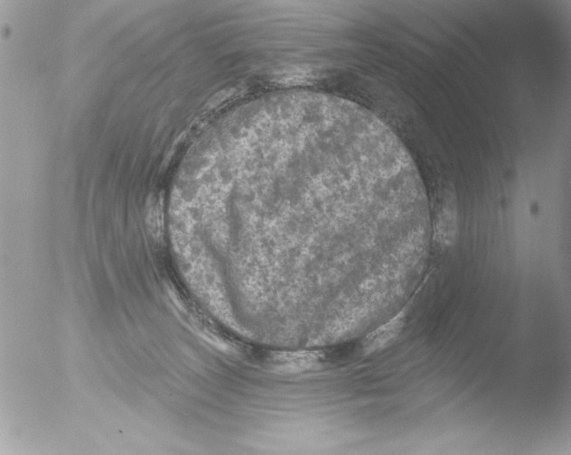 X0000051260179200507152225