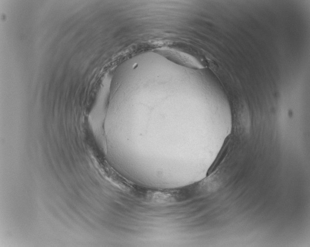 X0000051260180200507152225