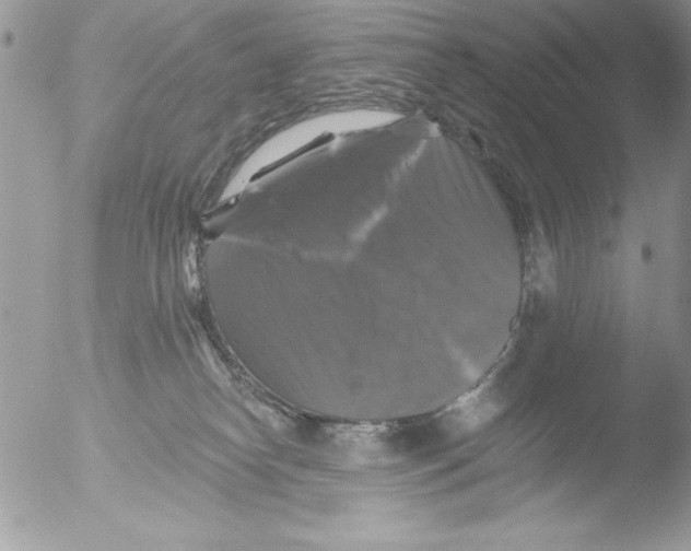 X0000051260182200507152225