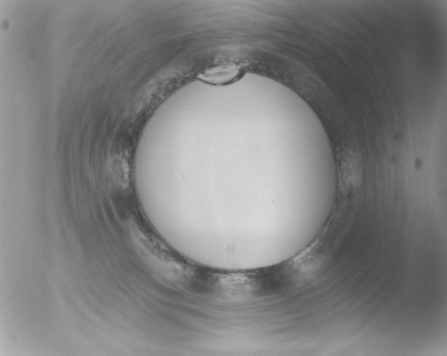 X0000051260183200507152225