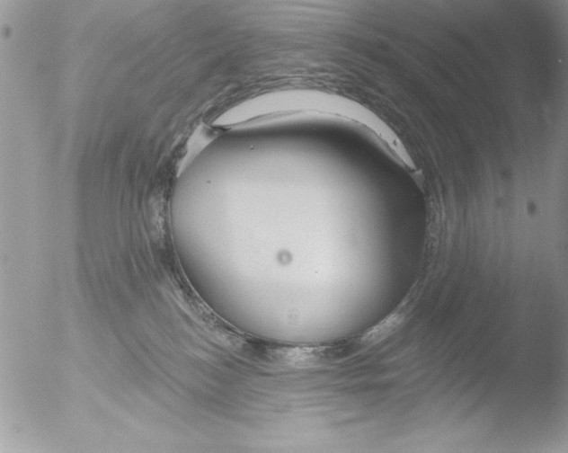 X0000051260184200507152225