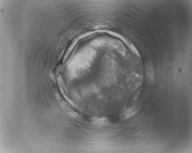 X0000051260185200507152225