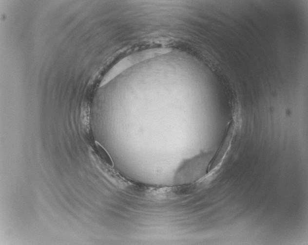 X0000051260186200507152225