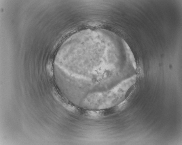 X0000051260187200507152225