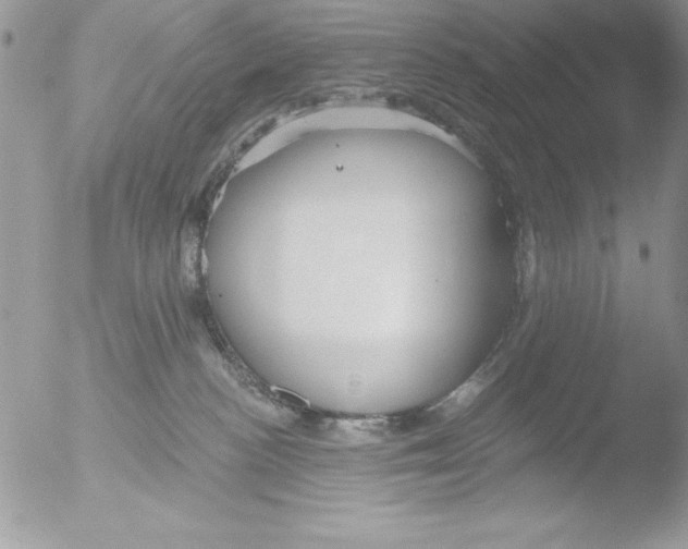 X0000051260188200507152225