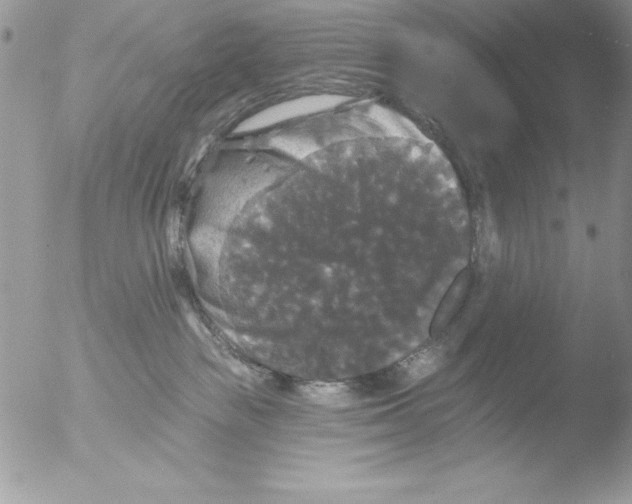 X0000051260189200507152225