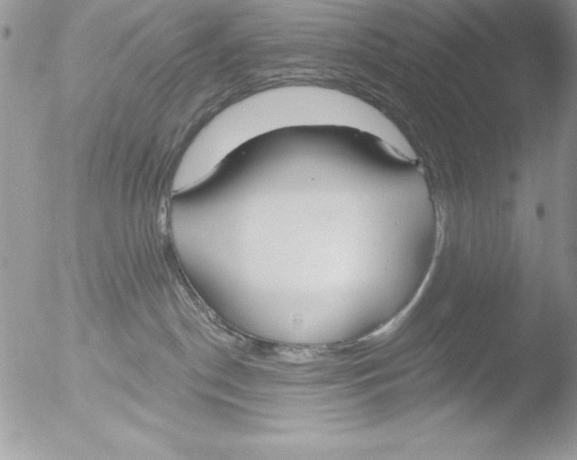 X0000051260190200507152225