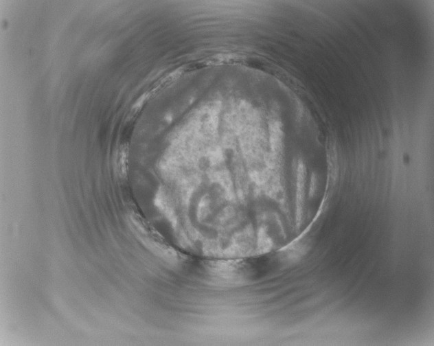 X0000051260191200507152225