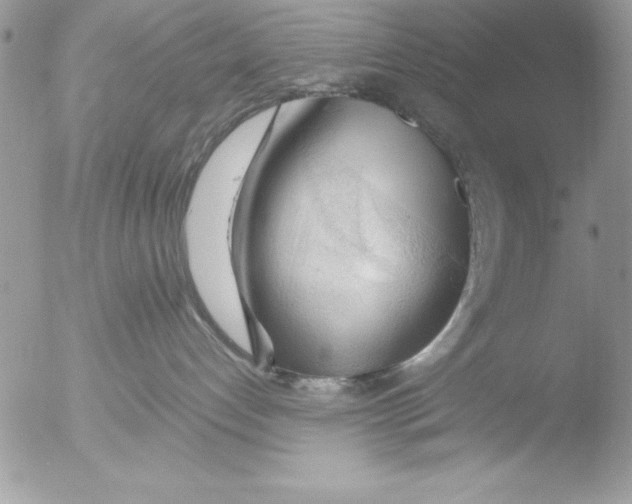 X0000051260192200507152225