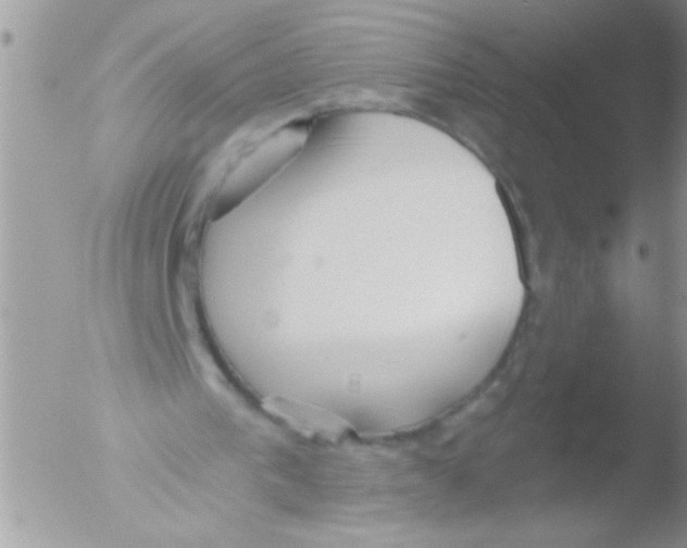 X0000051260193200507152224