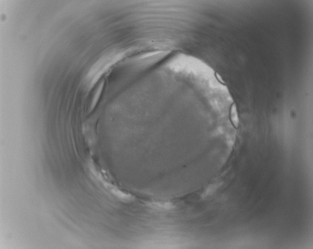 X0000051260194200507152224