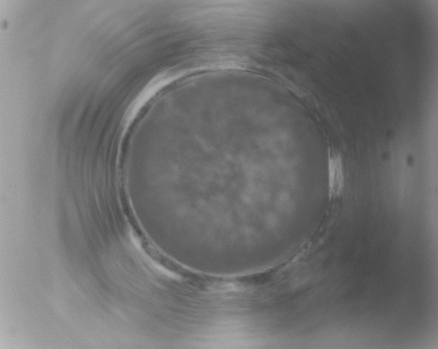 X0000051260195200507152224